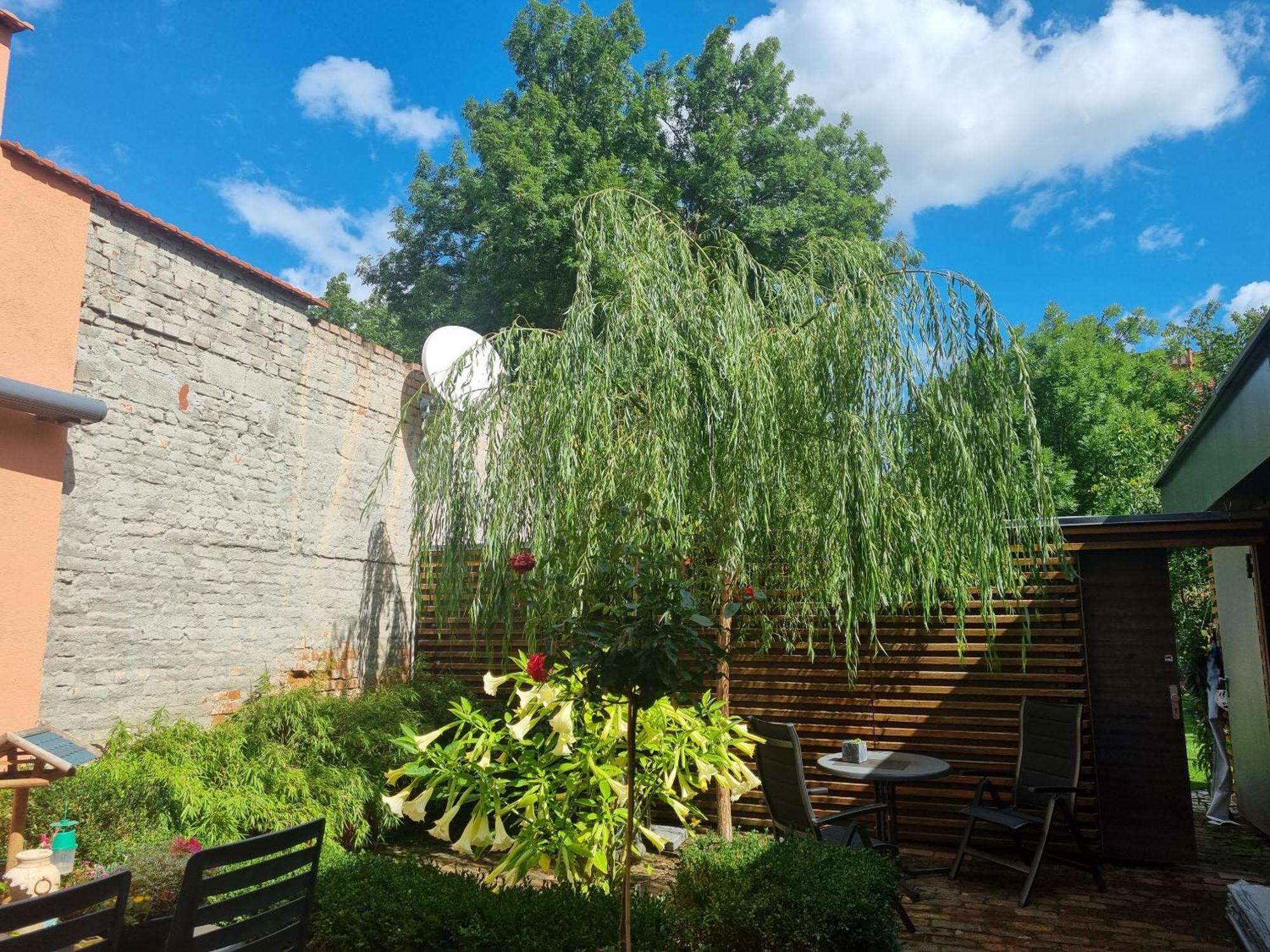 Apartments Junger-Moritz Erfurt Ruang foto
